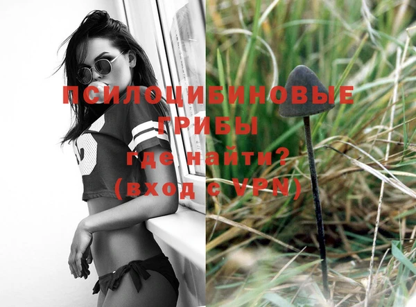 хмурый Щучье