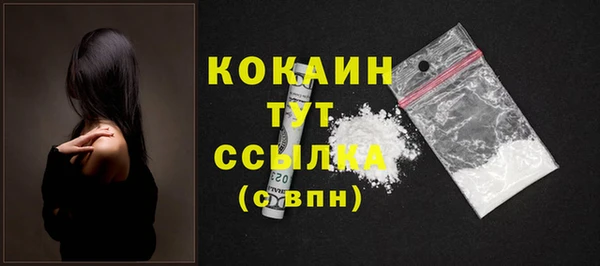 индика Ачинск
