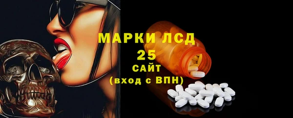индика Ачинск