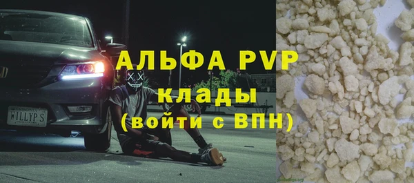 молекула духа Бердск