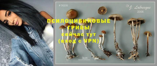 марки nbome Новый Уренгой