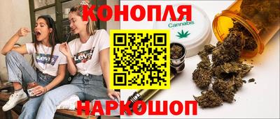 МДПВ Гатчина