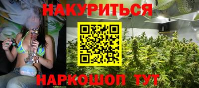 МДПВ Гатчина