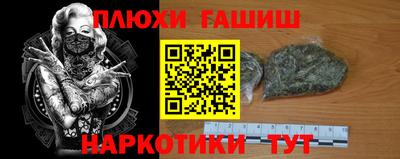 сатива Гай