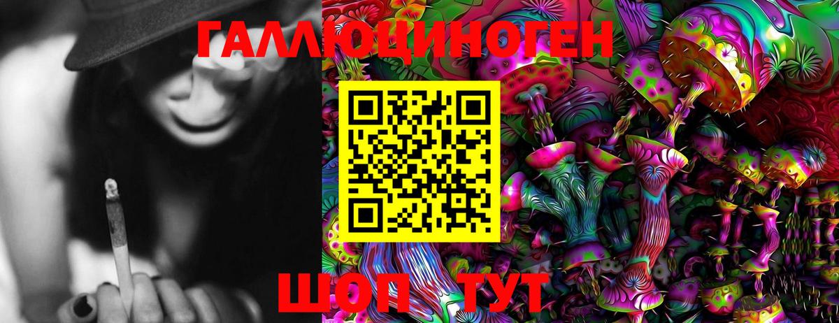 Рубцовск  Псилоцибиновые грибы MAGIC MUSHROOMS  наркошоп  Вход с VPN 