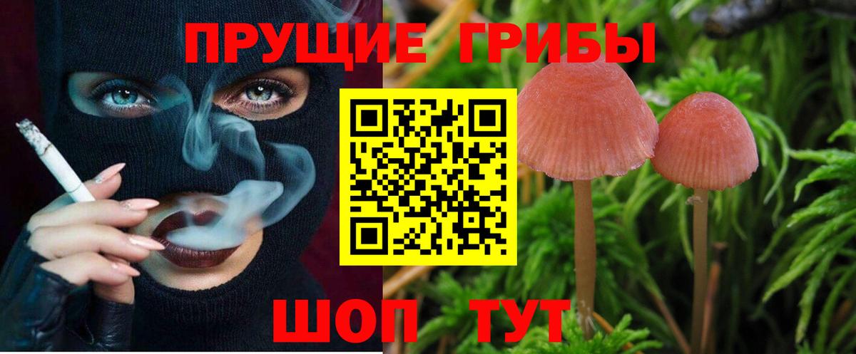 Канабис Рубцовск
