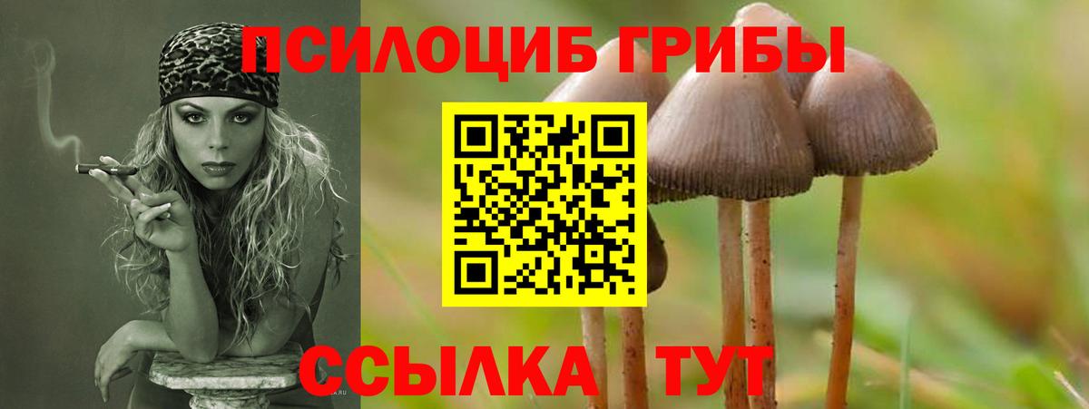 Галлюциногенные грибы GOLDEN TEACHER Рубцовск